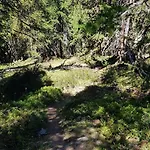 Apartamento Dai Nonni