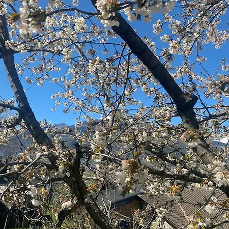 Lägenhet Dai Nonni Aosta