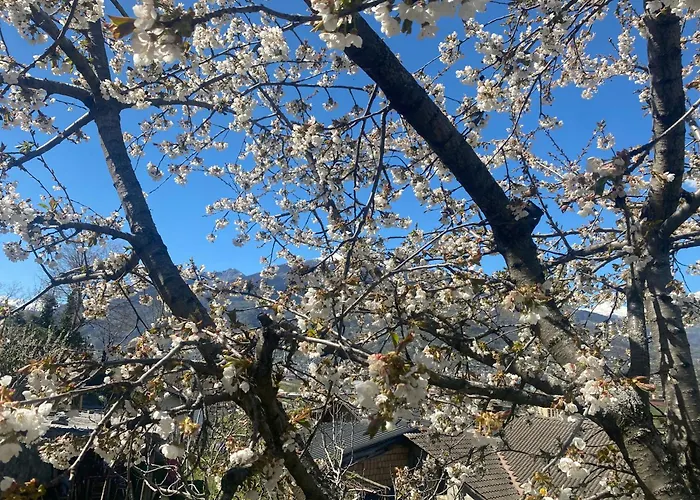 Apartment Dai Nonni Aosta